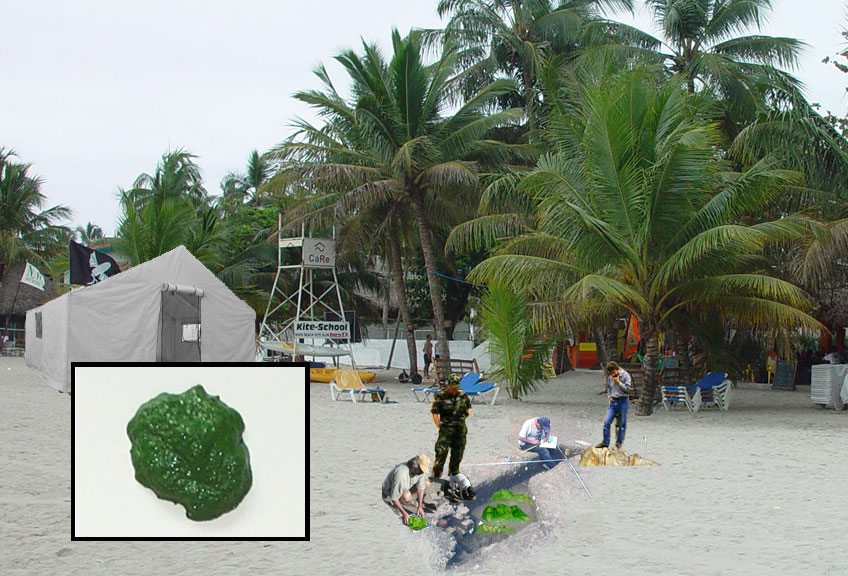 Kryptonite in Cabarete